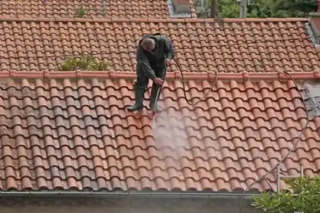 Nettoyage et démoussage de toiture à Moulis-en-Médoc à Moulis-en-Médoc